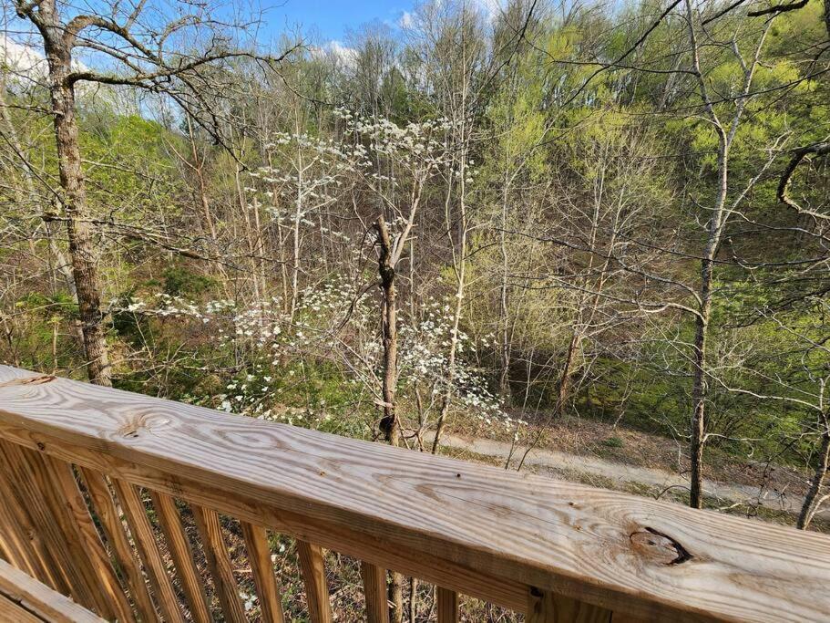 Dancing Bear Cabin- Relax & Enjoy! เซอเวียร์วีล ภายนอก รูปภาพ