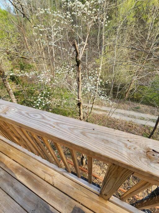 Dancing Bear Cabin- Relax & Enjoy! เซอเวียร์วีล ภายนอก รูปภาพ